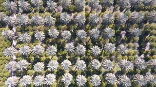 1400