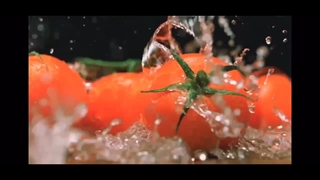 آبمیوه گیری و آب مرکبات گیری نوویس سوئیس NOVIS VITAJUICER S1 در جرمنی مد