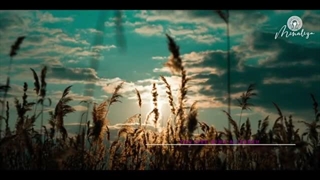 سایت اموزش جذب و شمع تراپی و فال