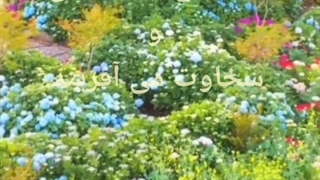 عشق و مهربانی