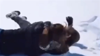 بی تی اس طنز