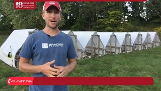 آموزش پرورش مرغ بومی * پرورش مرغ بومی در مرتع آزاد یا غیر آن ؟