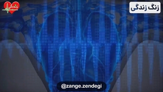 علت تمام بیماری ها