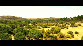 دانلود فیلم ۲۰۲۰ Rogue بدون سانسور