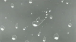 اندینگ۱۶ ناروتو شیپودن