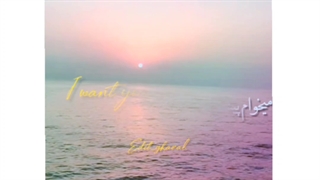 ﴿میدونم که دیگه بهم حسی نداری :)