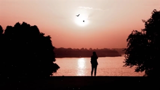 bird set free لیریک حرف برای گفتن زیاد داره :(