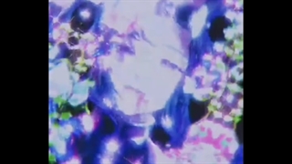 میکس فوق العاده محشر از شینبو AMV