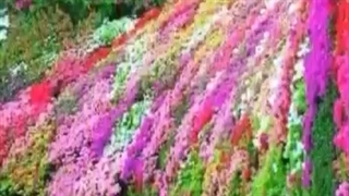 عید سعید غدیر خم مبارک