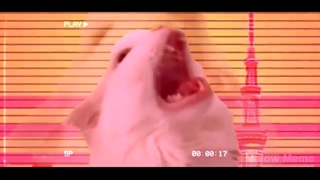 The Weeknd - Blinding Lights - Cat Cover گبه خواننده