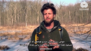 3 خاصیت منحصر به فرد قارچ گانودرما