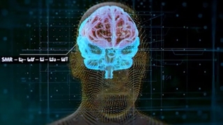 تیم بین المللی و تحقیقاتی فرکانسیک