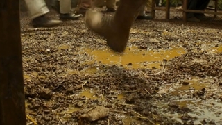 فیلم فانتری و هیجان انگیز((ماجراجویی در جنگل__jungle cruis))زبان اصلی...بدون زیر نویس فارسی.....2021 (با بازی دیو جانسون)