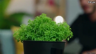 قسمت ششم سریال سقف های شیشه ای بازیرنویس فارسی