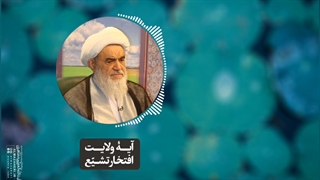 آیۀ ولایت افتخار تشیع(آیت الله العظمی مظاهری)