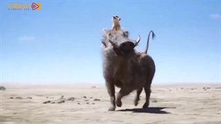 انیمیشن شیرشاه با دوبله جذاب و لهجه ترکی