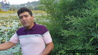 چگونه با این وضع بد دلار، حال خود و دیگران را خوب کنیم؟