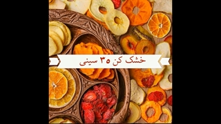 دستگاه خشک کن تک صنعت خرما و کشمش میگو و ماهی