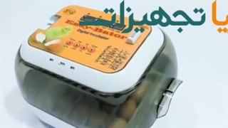 جوجه کشی مرغ و عروس هلندی و ....09370315115