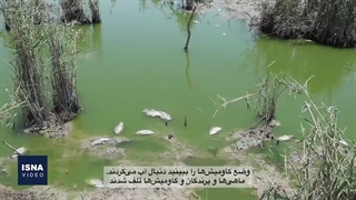 خوزستان؛ داغ، بی‌آب، معترض