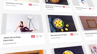 پریست پریمیر حرکت 3D دوربین