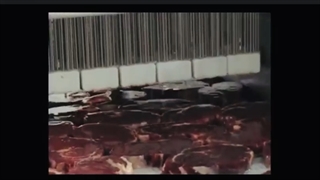 ماشین آلات اینجکتور برند فوماکو