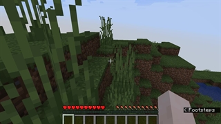 ماینکرفت سروایول