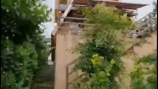 اجاره کلبه جنگلی در اربکله رامسر