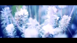 Kamibekami - This is energy (Official Video)