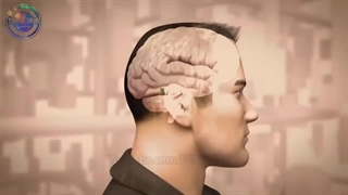 چیز های عجیبی که اون ها رو برای اولین بار در زندگی می بینید