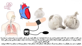 فواید خوردن سیر با معده خالی