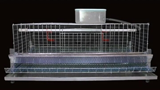 قفس کبک آشیونه