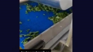 کانوایر مدولار،نوار نقاله مدولار Modular belt conveyor