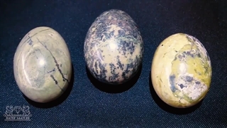 مروارید چگونه تشکیل میشود؟