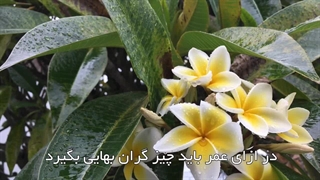 تلاش و کوشش بهترین سرمایه‌ها برای عمر انسان(آیت الله العظمی مظاهری)