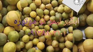 ابلیمو گیری تمام استیل ۰۹۱۳۸۸۰۳۱۰۱