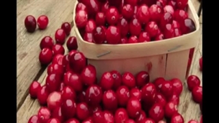 فواید زغال اخته برای بدن