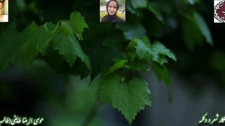 هوای عاشقی و خاطره | غزل گاه عاشقی از غزلیات طالب اردبیلی| صدای دلکش حورا سادات