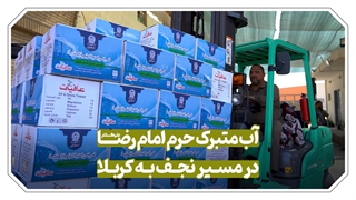 خادمان رضا(ع)، یاد سقای حسین(ع) را زنده می‌کنند / این آب، تبرّک است، طعمِ ارادت دارد