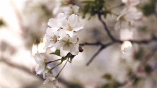 {رمان کره ای پیانیست}(پارت دهم قسمت سوم)[گزارش نشه لطفا]