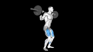 اسکوات هالتر از پشت