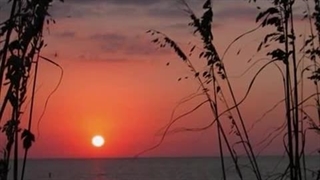 لبانت به ظرافت شعر