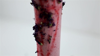 ویدئو طرز تهیه اسموتی توت فرنگی