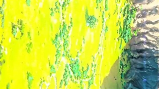 تغییرات گرافیک و آرت انیمه ها از اولین انیمه تا الان