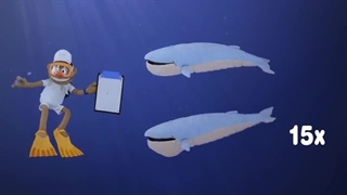 از نهنگ‌های آبی چه می‌دانید؟