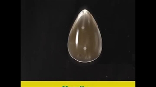 فیلتر یاشار سامیار