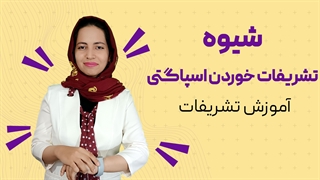 آموزش تشریفات خوردن اسپاگتی