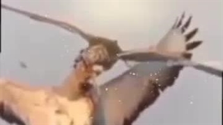 جیوه نقره ای نظامی