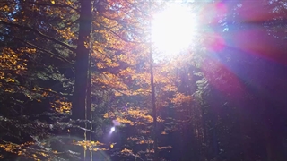 رضایتمندی استادکاران