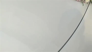 اجاره ماشین تشریفاتی عروس در تهران